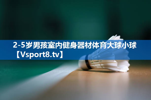 2-5岁男孩室内健身器材体育大球小球